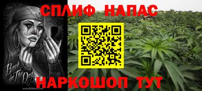 сатива Малгобек