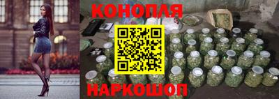 сатива Малгобек