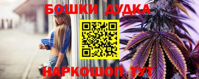 сатива Малгобек