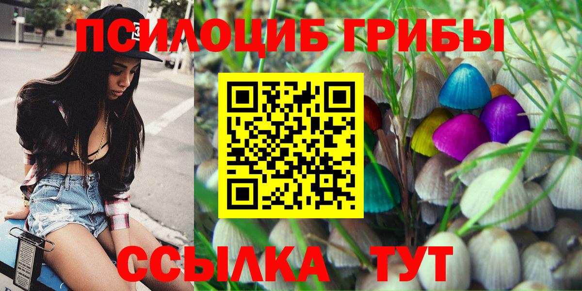 Тара  Галлюциногенные грибы MAGIC MUSHROOMS  Вход с VPN 