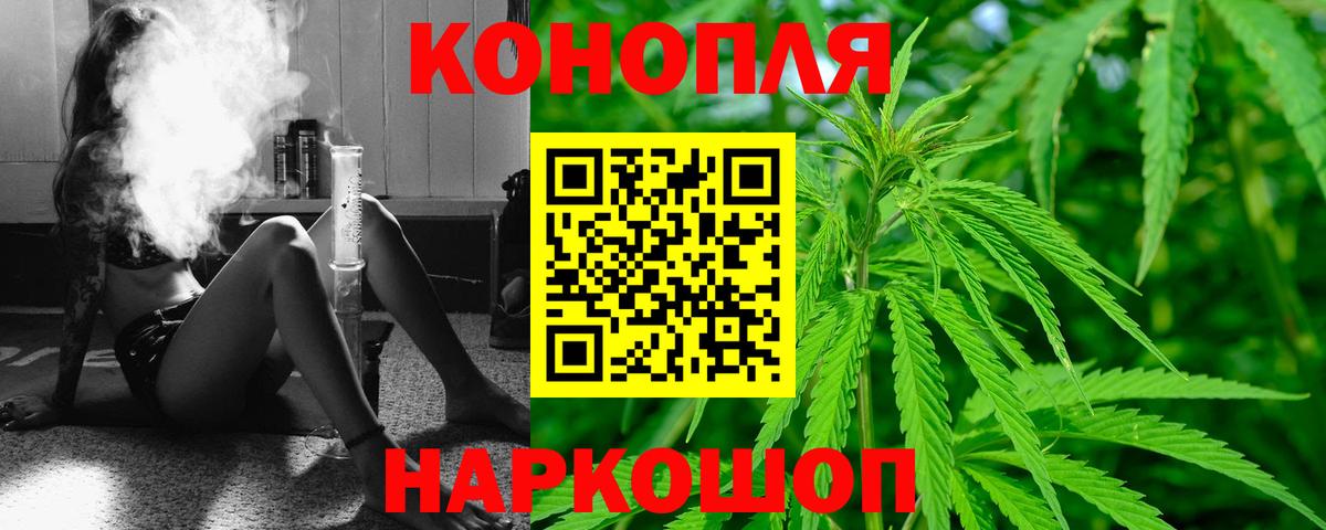 Шишки марихуана сатива Тара